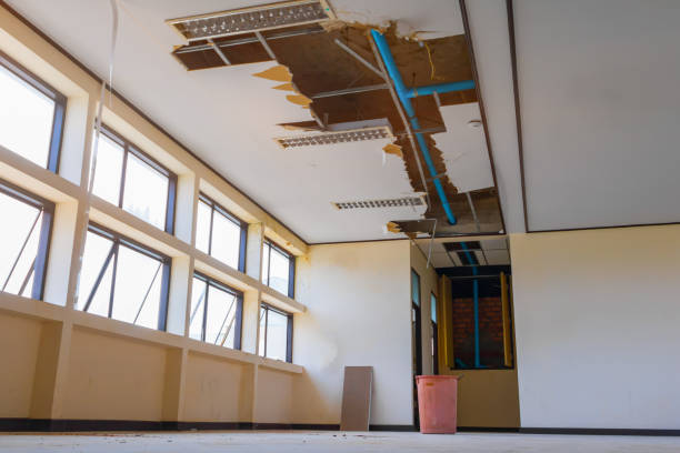 Best Commercial water damage restoration  in New Carlisle, OH