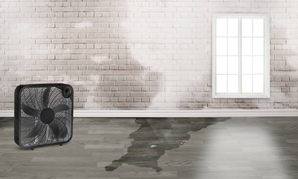 Best Residential water damage restoration  in New Carlisle, OH