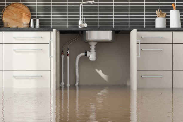 Best Carpet water damage restoration  in New Carlisle, OH