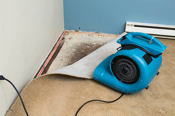 Carpet water damage restoration in New Carlisle, OH